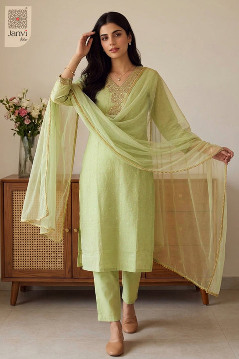 Standing studio shot holding sheer net scarf wide in a sage churidar set with dupatta.
